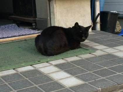 写真 1