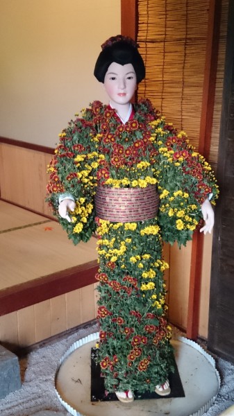 菊4