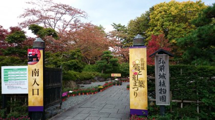 菊2