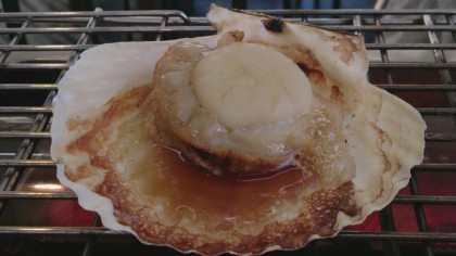 ほたてごや8