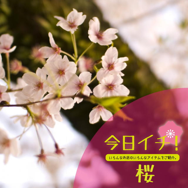 kyou4.24