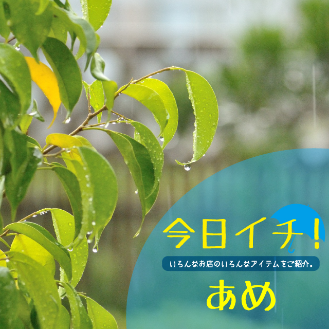 今日イチsikaku6
