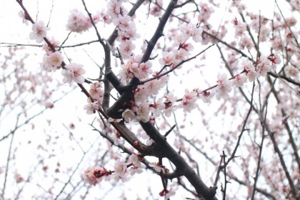 20160421160331
