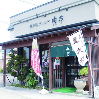 yoshiprofoot